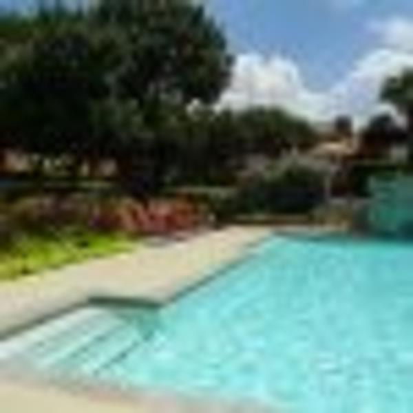 autumn chase apartments largo florida autumn chase apartments largo florida